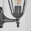 Naofe Lampe murale d´extérieur, Applique murale Noir, Argenté, 1 lumière