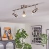 Crina Plafonnier, Spot de plafond Chrome, Nickel mat, 3 lumières