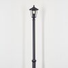 Loria Lampadaire Bois clair, Noir, 2 lumières