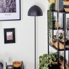 Lampe Champignon  Tati Lampadaire, Spot mural Bois foncé, Noir, 4 lumières