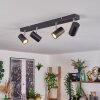 Gesteira Plafonnier, Lampadaire LED Écru, 4 lumières