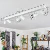 Gesteira Plafonnier, Spot de plafond Chrome, Blanc, 6 lumières