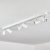 Gesteira Plafonnier, Spot de plafond Chrome, Blanc, 6 lumières