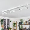 Gesteira Plafonnier, Spot de plafond Chrome, Blanc, 6 lumières