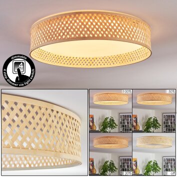 Barroco Plafonnier LED Écru, Blanc, 1 lumière