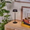 Romdrup Lampe de table d'extérieur, Lampe à poser LED Noir, 1 lumière