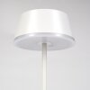 Romdrup Lampe de table d'extérieur, Lampe à poser LED Blanc, 1 lumière