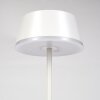 Romdrup Lampe de table d'extérieur LED Blanc, 1 lumière