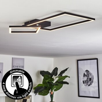 Plafonnier Doyon LED Noir, 1 lumière