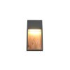 SALMON Applique murale Luminaires Trio LED Bois clair, 1 lumière