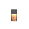 SALMON Applique murale Luminaires Trio LED Bois clair, 1 lumière, Détecteur de mouvement