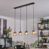 Ripoll Suspension, Boule lumineuse, Suspension Chrome, Clair, Fumé, 4 lumières