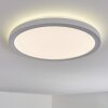 Qadir Plafonnier extérieur, Plafonnier LED Blanc, 1 lumière