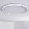 Qadir Plafonnier extérieur, Plafonnier LED Blanc, 1 lumière