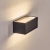 Lanor Lampe murale d´extérieur, Luminaire Up & Down, Applique murale LED Noir, 1 lumière