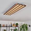 Tandragee Plafonnier LED Couleur bois, Noir, 1 lumière