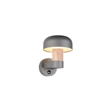 FRASER Applique murale Luminaires Trio Bois clair, 1 lumière, Détecteur de mouvement