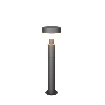 MACKENZIE Lampadaire d\'extérieur Luminaires Trio LED Anthracite, 1 lumière