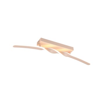 Ginko Plafonnier Luminaires Reality LED Beige, 1 lumière