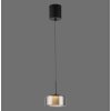 Rika Suspension Luminaires Paul Neuhaus LED Noir, 1 lumière