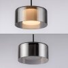 Rika Suspension Luminaires Paul Neuhaus LED Noir, 1 lumière