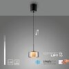 Rika Suspension Luminaires Paul Neuhaus LED Noir, 1 lumière