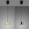 Rika Suspension Luminaires Paul Neuhaus LED Noir, 1 lumière