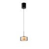 Rika Suspension Luminaires Paul Neuhaus LED Noir, 1 lumière