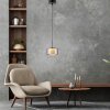 Rika Suspension Luminaires Paul Neuhaus LED Noir, 1 lumière