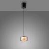 Rika Suspension Luminaires Paul Neuhaus LED Noir, 1 lumière