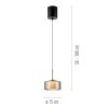 Rika Suspension Luminaires Paul Neuhaus LED Noir, 1 lumière