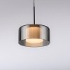 Rika Suspension Luminaires Paul Neuhaus LED Noir, 1 lumière