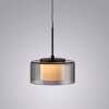 Rika Suspension Luminaires Paul Neuhaus LED Noir, 1 lumière