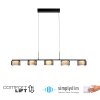 Rika Suspension Luminaires Paul Neuhaus LED Noir, 5 lumières