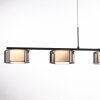 Rika Suspension Luminaires Paul Neuhaus LED Noir, 5 lumières