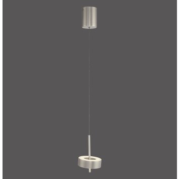 Q-Rotate Suspension Luminaires Paul Neuhaus LED Argenté, 1 lumière, Télécommandes