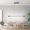 Hoop Suspension Luminaires Paul Neuhaus LED Anthracite, Argenté, 1 lumière