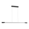 Hoop Suspension Luminaires Paul Neuhaus LED Anthracite, Argenté, 1 lumière