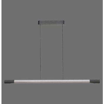 Hoop Suspension Luminaires Paul Neuhaus LED Anthracite, Argenté, 1 lumière