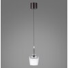 Q-Kon Suspension Luminaires Paul Neuhaus LED Brun, 1 lumière, Télécommandes