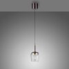 Q-Kon Suspension Luminaires Paul Neuhaus LED Brun, 1 lumière, Télécommandes