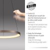 Hoop Suspension Luminaires Paul Neuhaus LED Brun, 1 lumière