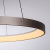 Hoop Suspension Luminaires Paul Neuhaus LED Brun, 1 lumière