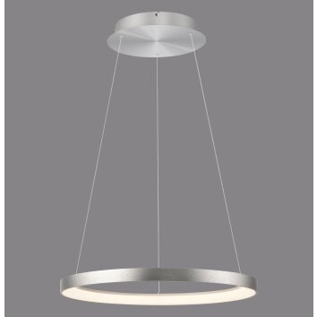 Hoop Suspension Luminaires Paul Neuhaus LED Argenté, 1 lumière