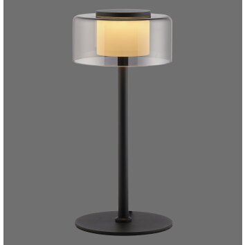 Rika Lampe à poser Luminaires Paul Neuhaus LED Noir, 1 lumière