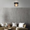 Rika Plafonnier Luminaires Paul Neuhaus LED Noir, 1 lumière