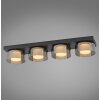 Rika Plafonnier Luminaires Paul Neuhaus LED Noir, 4 lumières