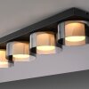 Rika Plafonnier Luminaires Paul Neuhaus LED Noir, 4 lumières