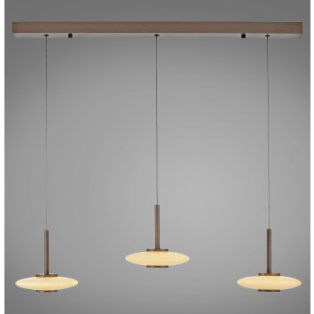 Vitrum Suspension Luminaires Paul Neuhaus LED Brun, 6 lumières