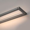 Puro Applique murale Luminaires Paul Neuhaus LED Gris, 1 lumière